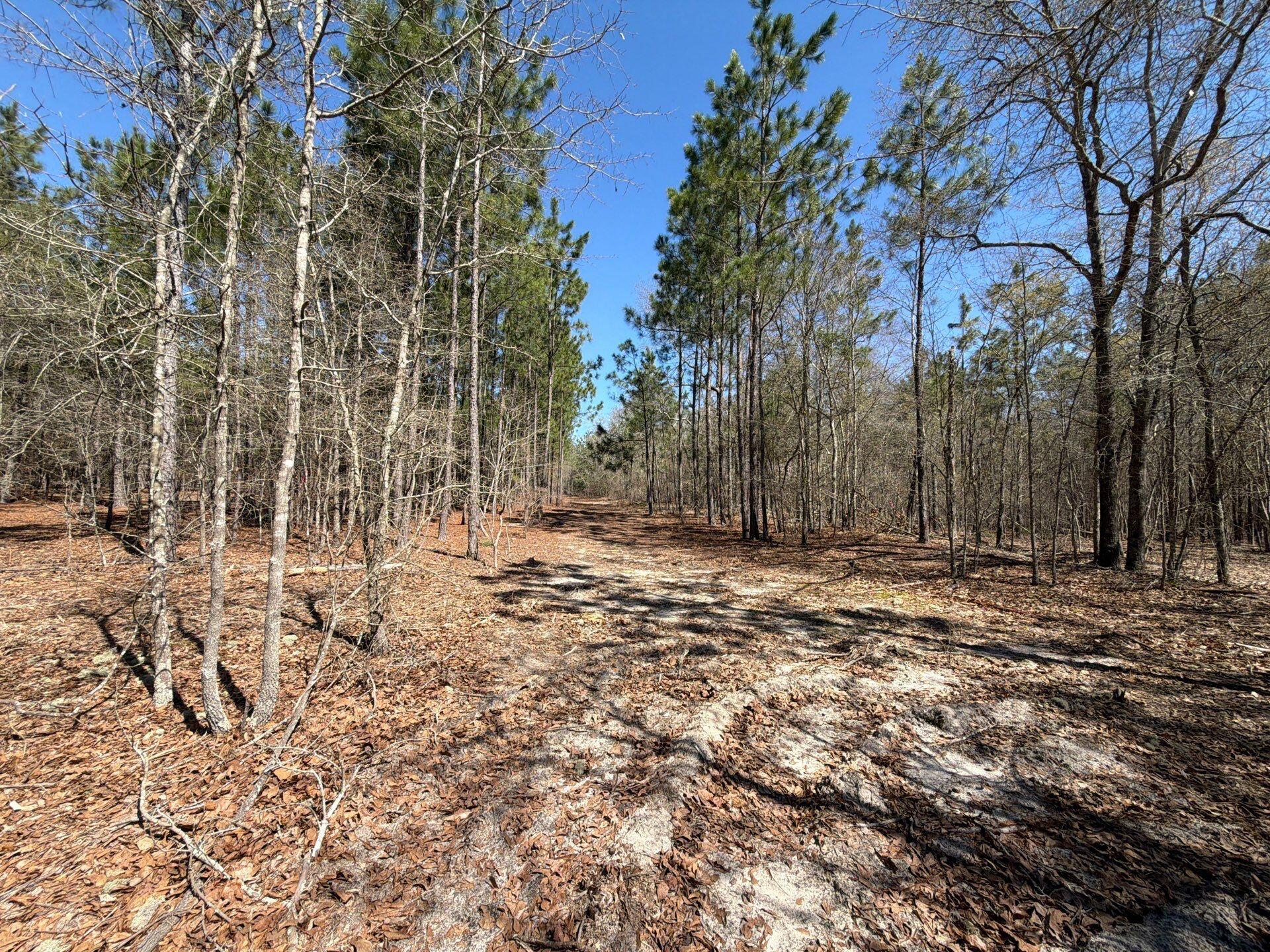 9 Boise Cascade Road, Unit BHL 9 Bethune, SC 29009 - Photo 27 of 44 18-Mar 18 2026 04_56pm-xZtc