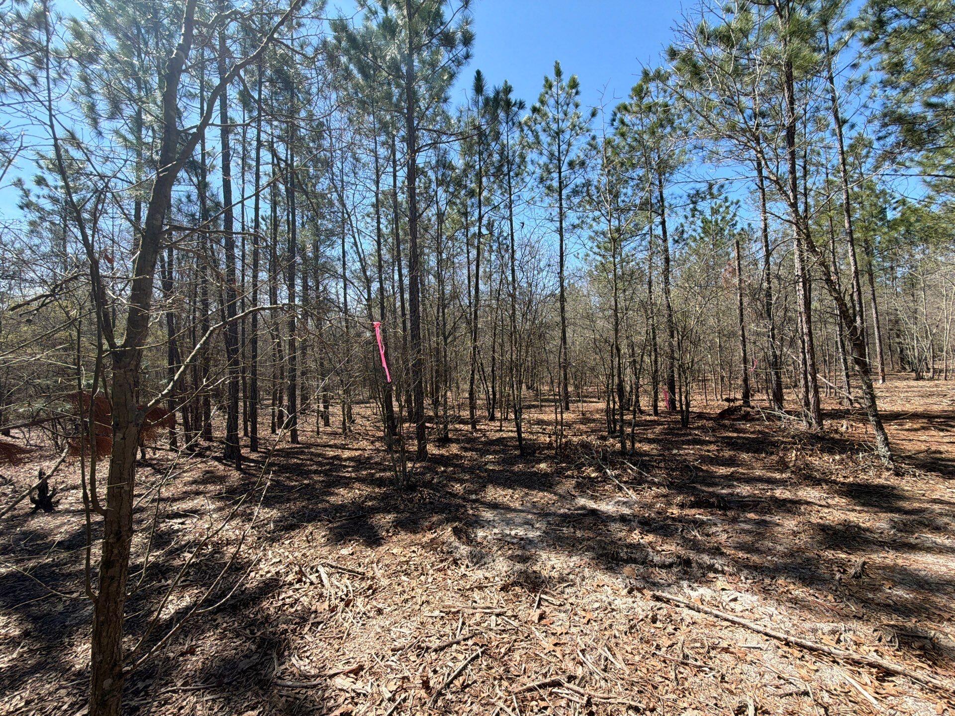9 Boise Cascade Road, Unit BHL 9 Bethune, SC 29009 - Photo 28 of 44 17-Mar 18 2026 04_55pm-gvJh