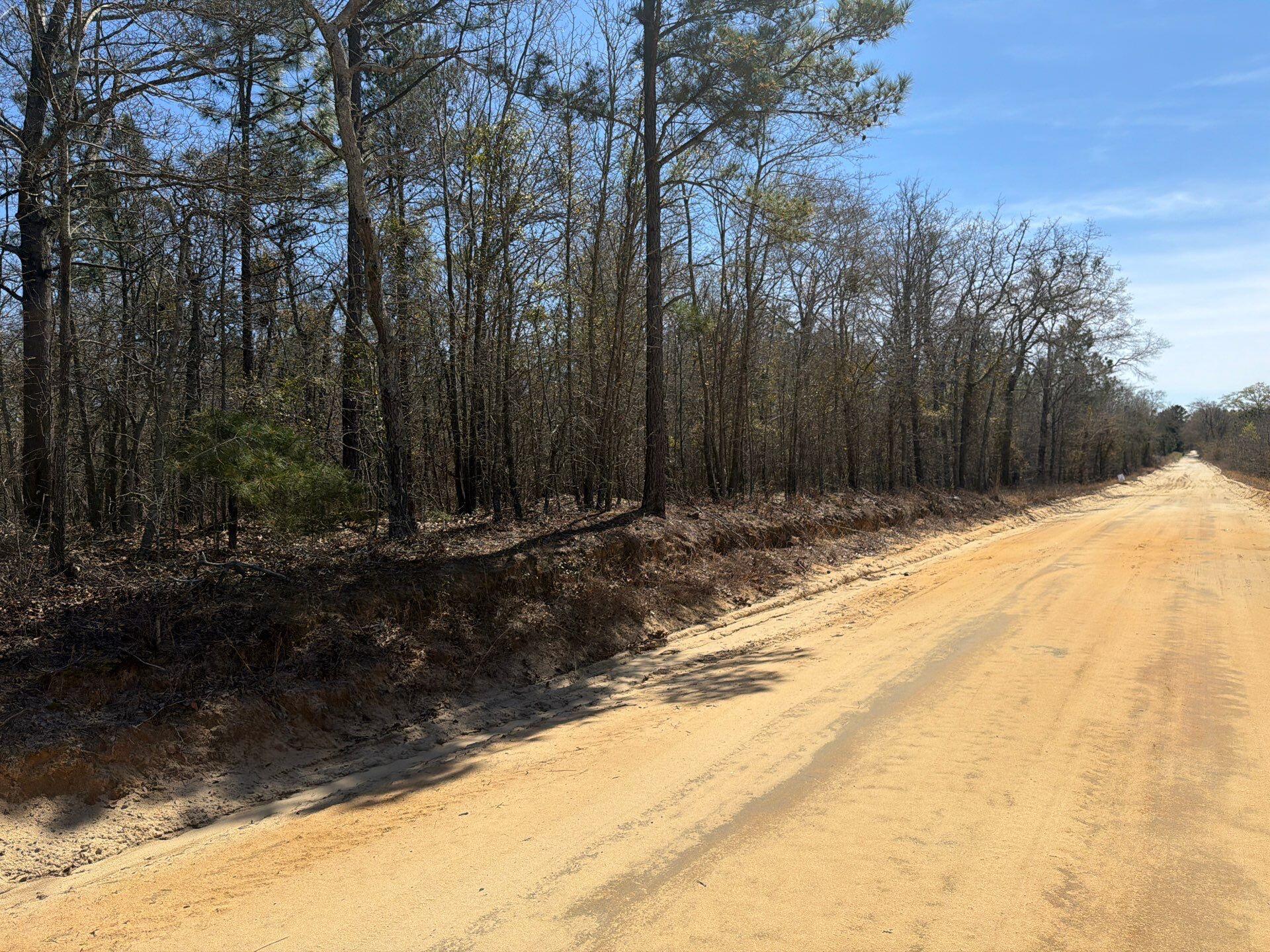 9 Boise Cascade Road, Unit BHL 9 Bethune, SC 29009 - Photo 3 of 44 42-Mar 18 2026 05_08pm-JzUN