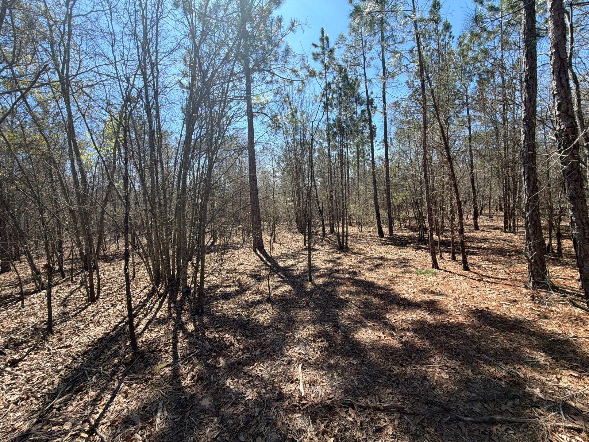 9 Boise Cascade Road, Unit BHL 9 Bethune, SC 29009 - Photo 32 of 44 13-Mar 18 2026 04_55pm-VyJM