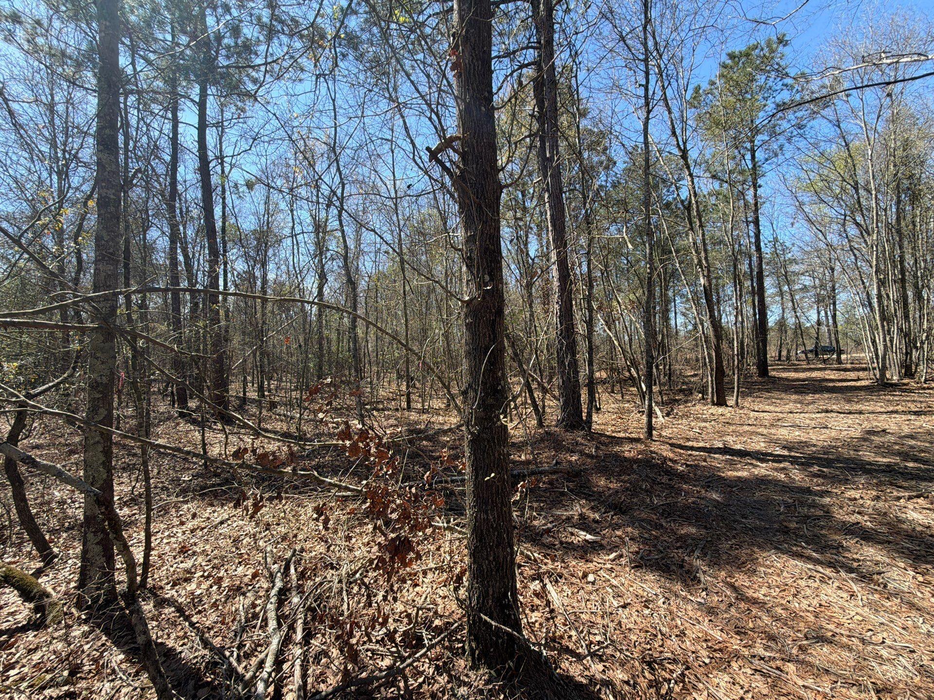 9 Boise Cascade Road, Unit BHL 9 Bethune, SC 29009 - Photo 34 of 44 11-Mar 18 2026 04_53pm-pMZT