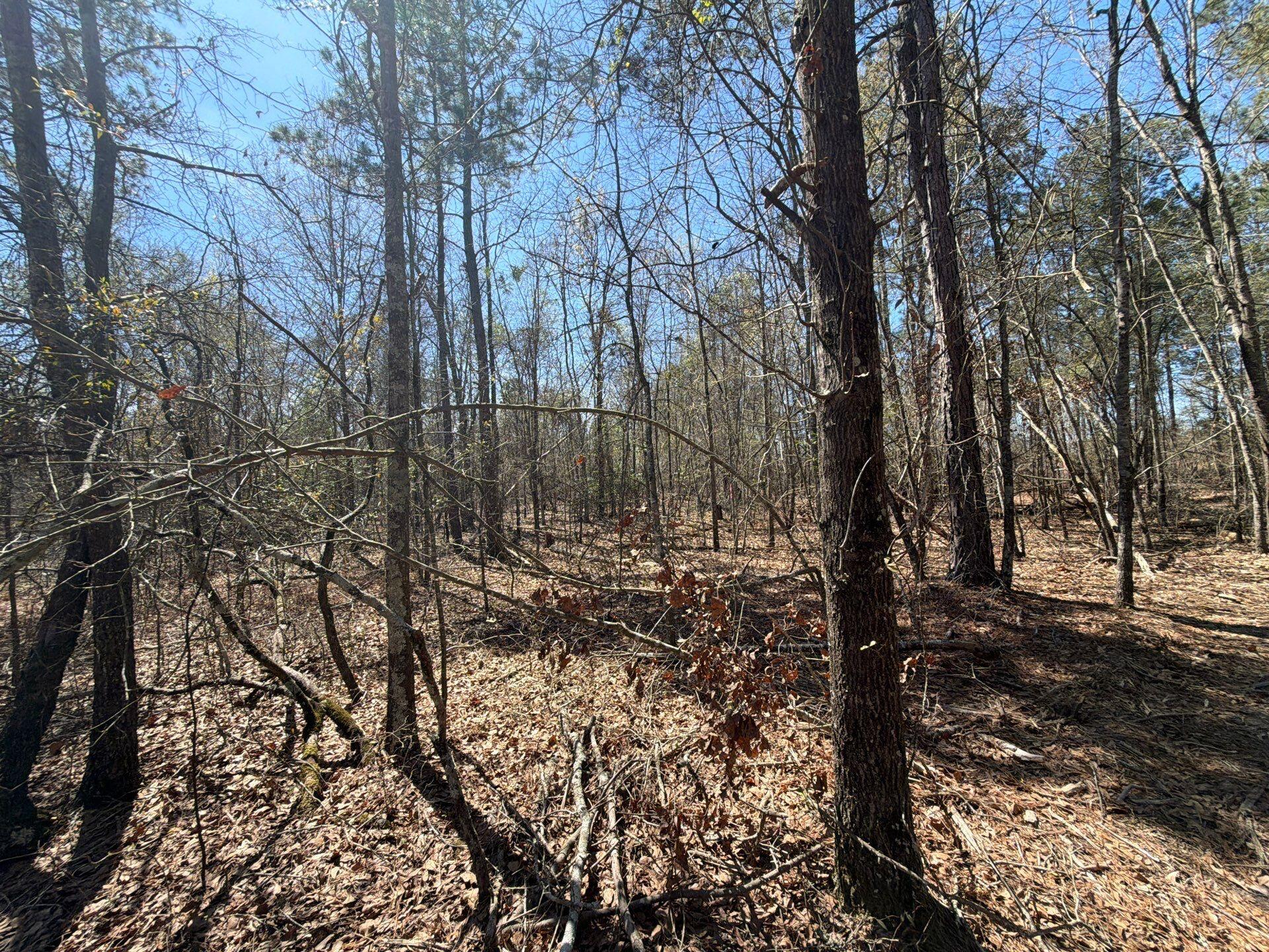 9 Boise Cascade Road, Unit BHL 9 Bethune, SC 29009 - Photo 35 of 44 10-Mar 18 2026 04_53pm-Tmgw