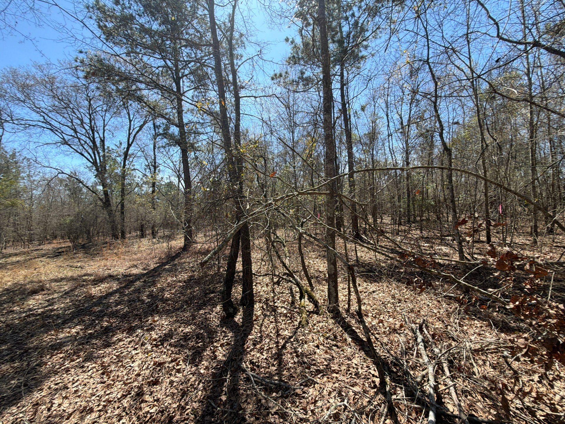 9 Boise Cascade Road, Unit BHL 9 Bethune, SC 29009 - Photo 36 of 44 9-Mar 18 2026 04_53pm-bPUM