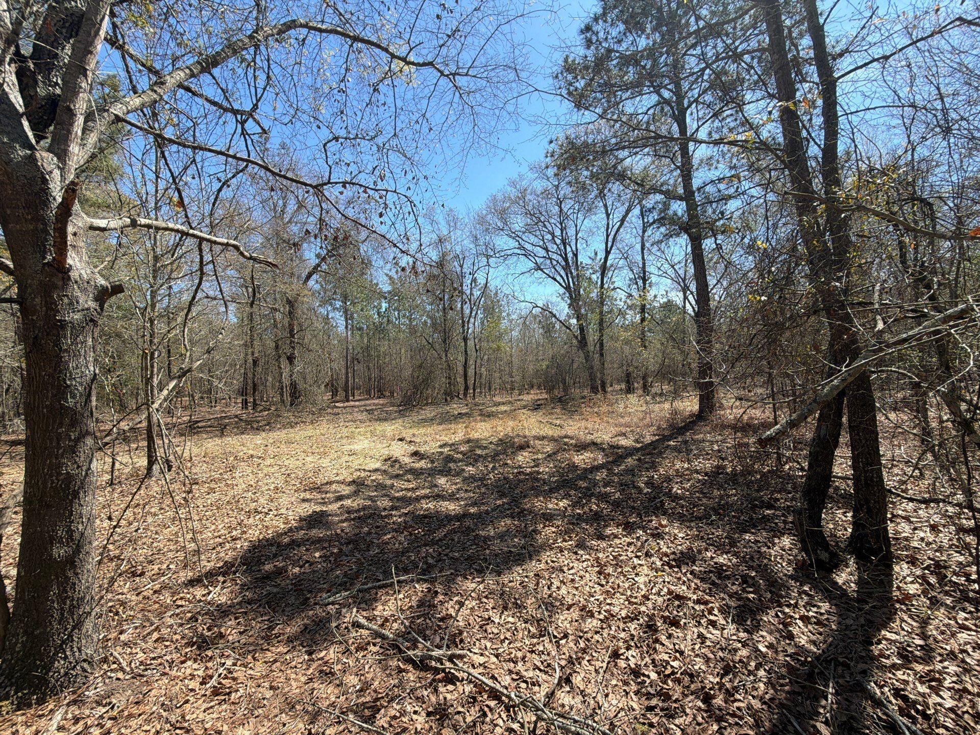 9 Boise Cascade Road, Unit BHL 9 Bethune, SC 29009 - Photo 38 of 44 7-Mar 18 2026 04_53pm-Like