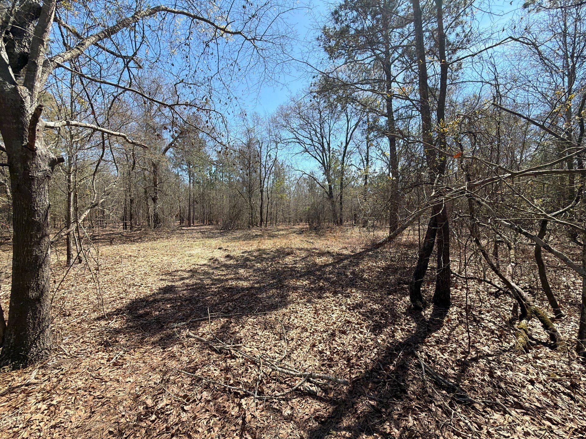 9 Boise Cascade Road, Unit BHL 9 Bethune, SC 29009 - Photo 39 of 44 6-Mar 18 2026 04_53pm-Zd8D