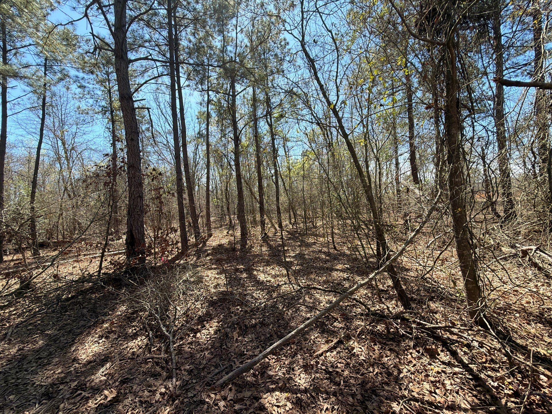 9 Boise Cascade Road, Unit BHL 9 Bethune, SC 29009 - Photo 40 of 44 5-Mar 18 2026 04_52pm-Z8yc