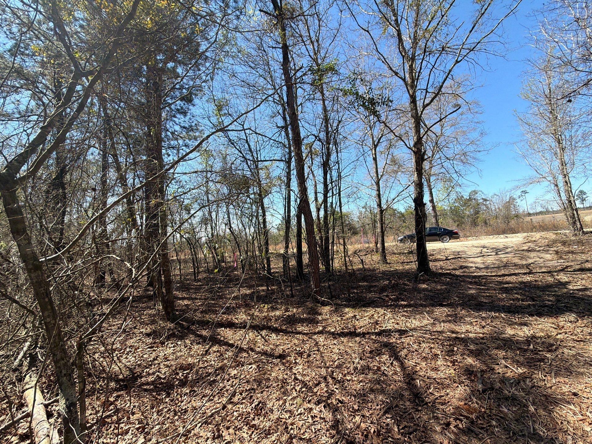 9 Boise Cascade Road, Unit BHL 9 Bethune, SC 29009 - Photo 41 of 44 4-Mar 18 2026 04_52pm-Czoj