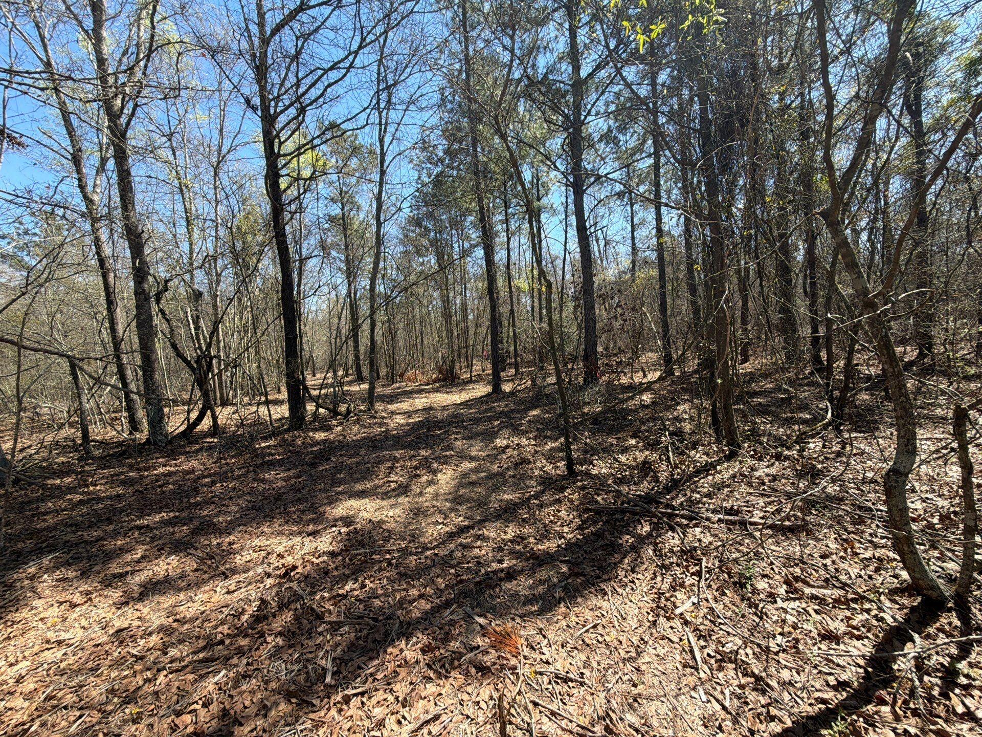 9 Boise Cascade Road, Unit BHL 9 Bethune, SC 29009 - Photo 42 of 44 3-Mar 18 2026 04_52pm-rJ78
