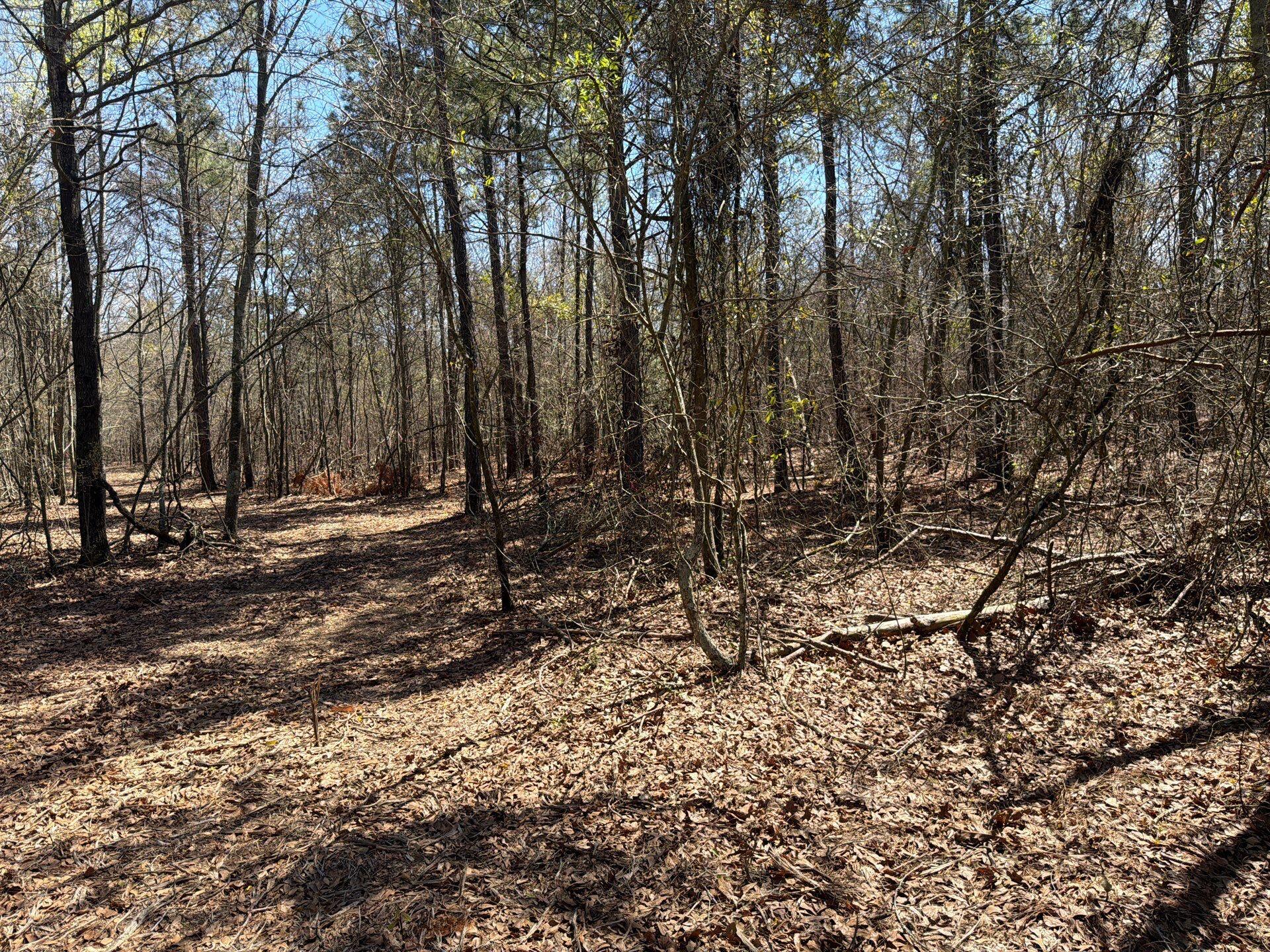 9 Boise Cascade Road, Unit BHL 9 Bethune, SC 29009 - Photo 43 of 44 2-Mar 18 2026 04_52pm-DyUM