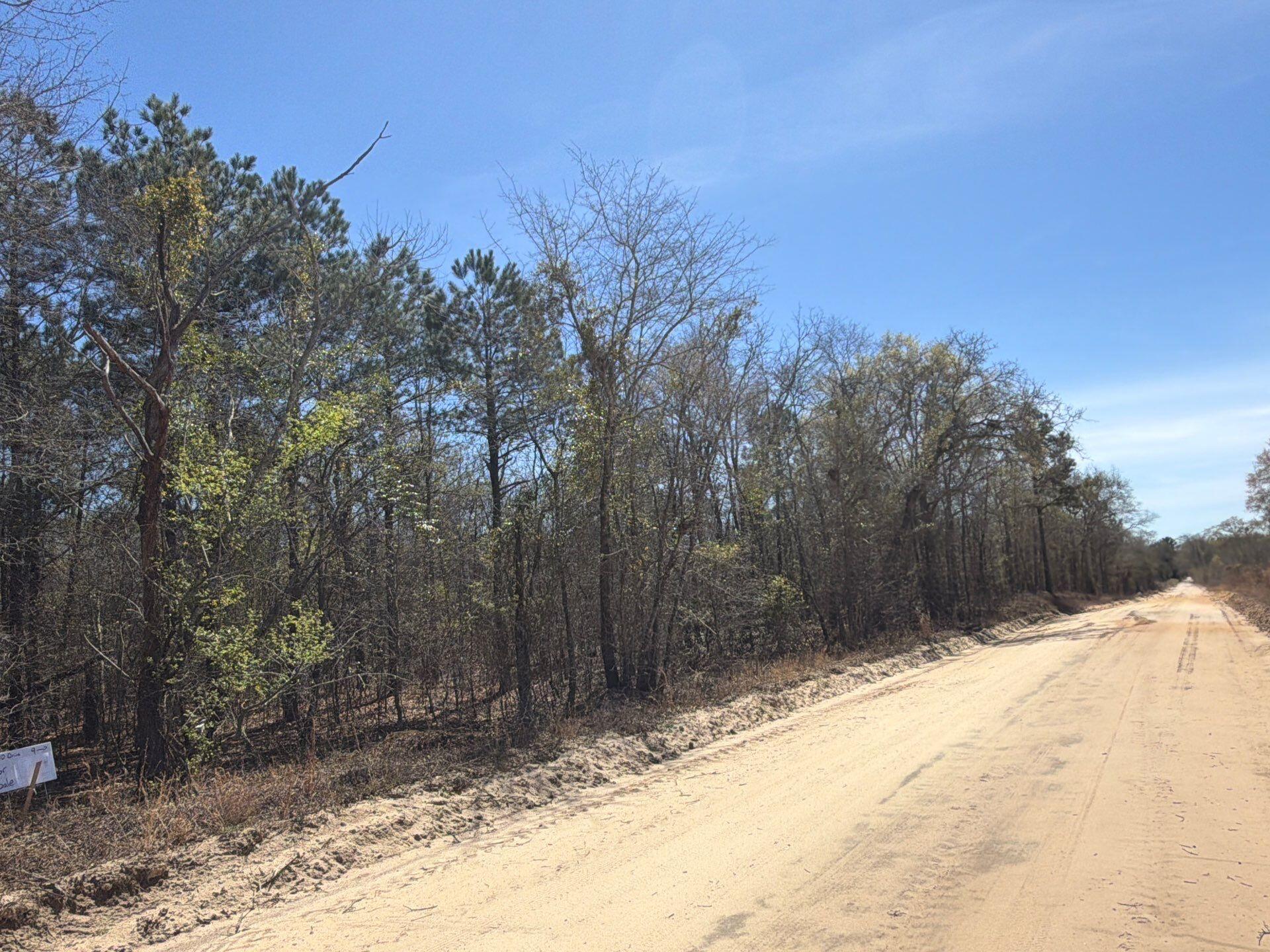 9 Boise Cascade Road, Unit BHL 9 Bethune, SC 29009 - Photo 44 of 44 1-Mar 18 2026 04_51pm-afbR