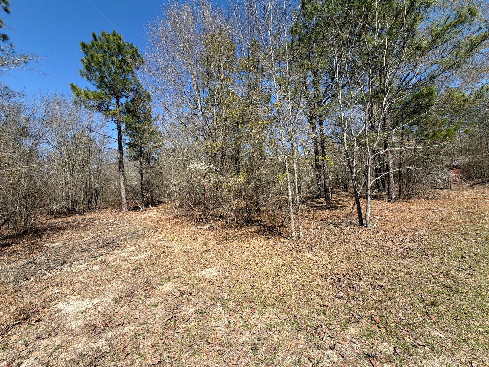 9 Boise Cascade Road, Unit BHL 9 Bethune, SC 29009 - Photo 6 of 44 39-Mar 18 2026 05_03pm-sWs3