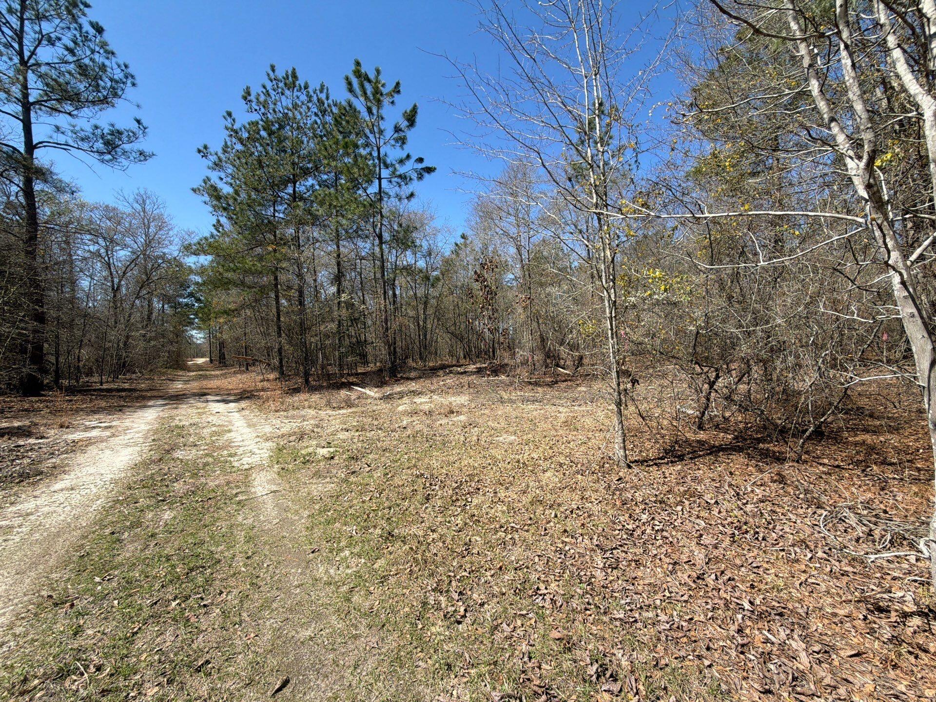 9 Boise Cascade Road, Unit BHL 9 Bethune, SC 29009 - Photo 7 of 44 38-Mar 18 2026 05_03pm-Atqd