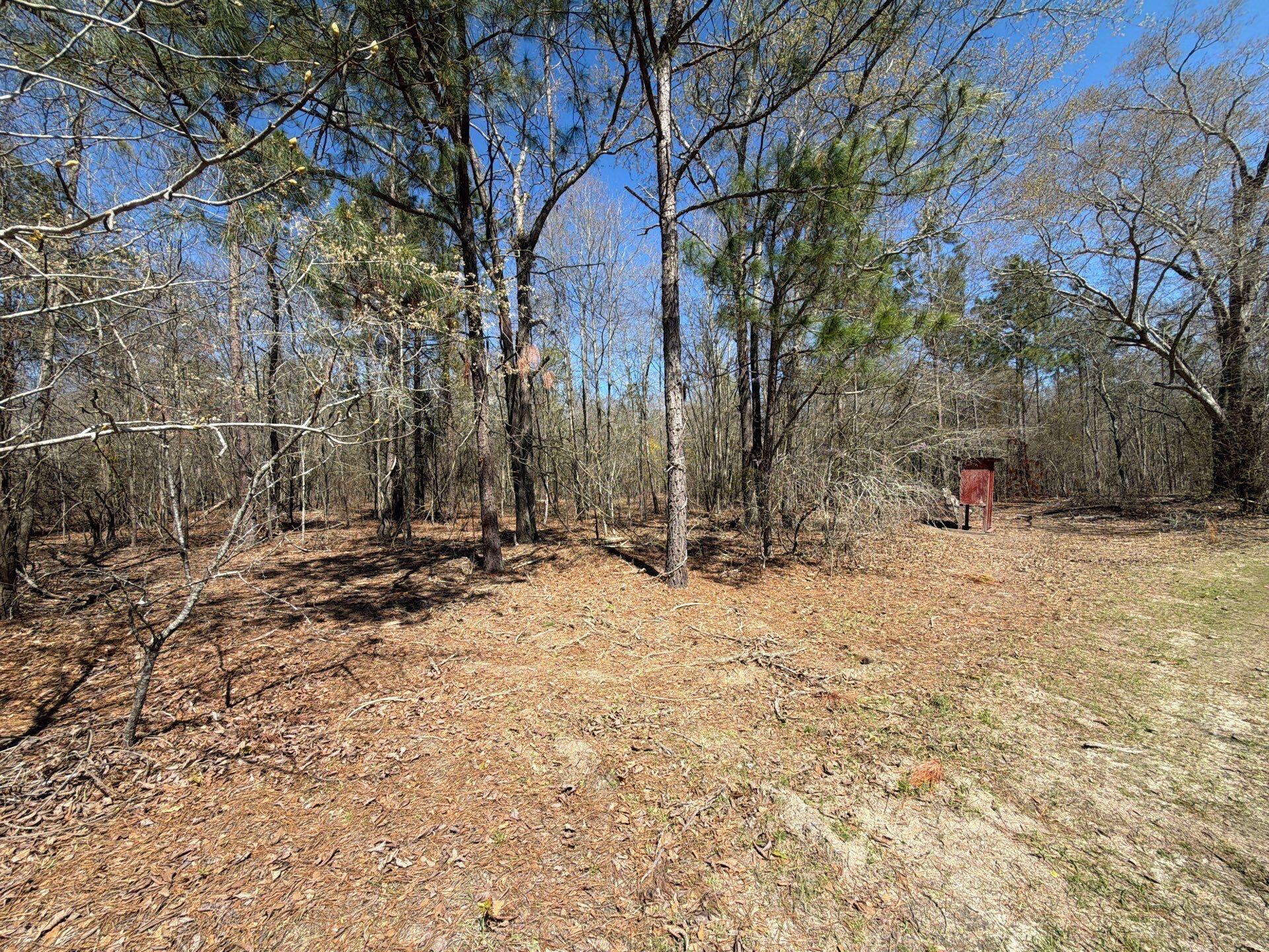 9 Boise Cascade Road, Unit BHL 9 Bethune, SC 29009 - Photo 8 of 44 37-Mar 18 2026 05_03pm-voGW