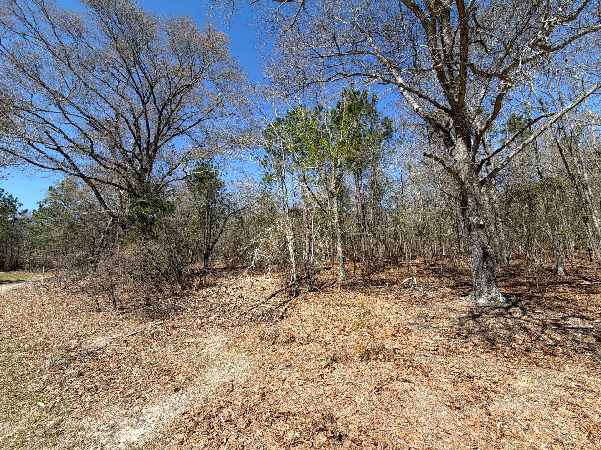 9 Boise Cascade Road, Unit BHL 9 Bethune, SC 29009 - Photo 9 of 44 36-Mar 18 2026 05_02pm-4nQC