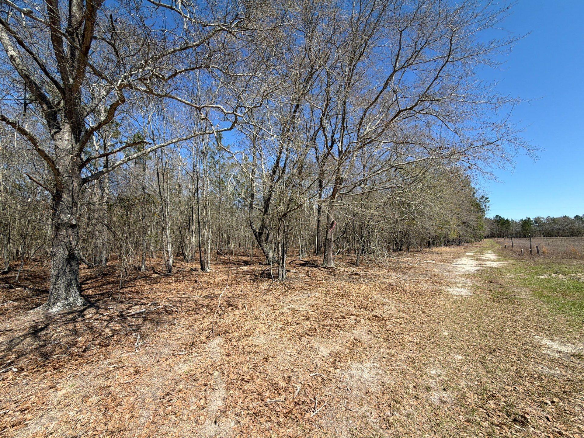 9 Boise Cascade Road, Unit BHL 9 Bethune, SC 29009 - Photo 10 of 44 35-Mar 18 2026 05_02pm-Ra8F