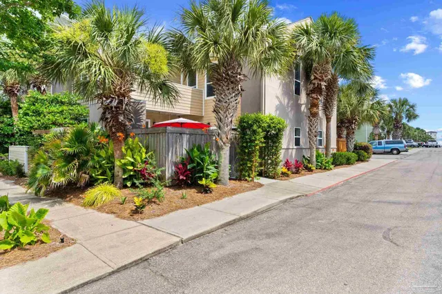 a view of a garden with flowers and trees
