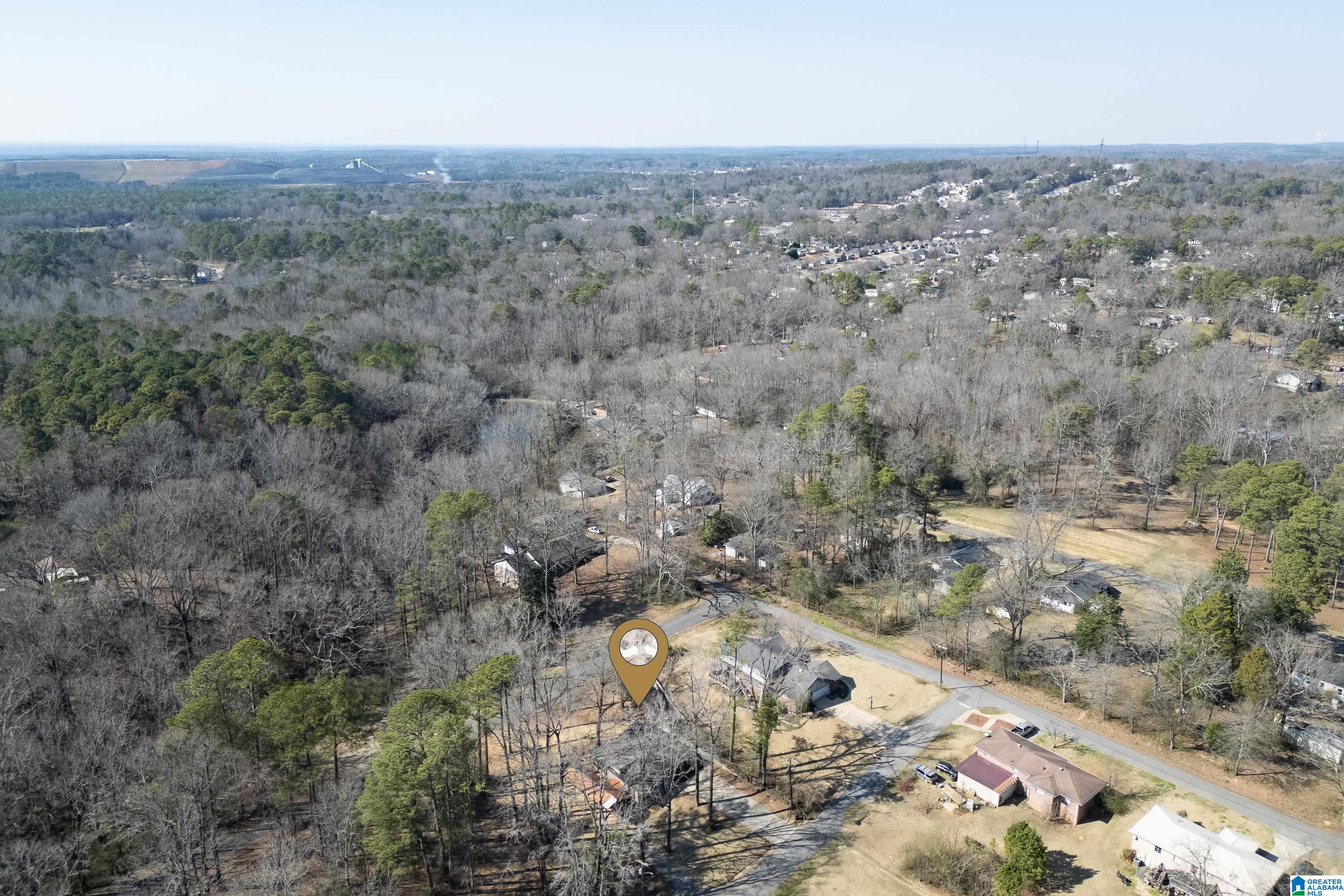105 Pierson Circle Bessemer, AL 35023 - Photo 35 of 42