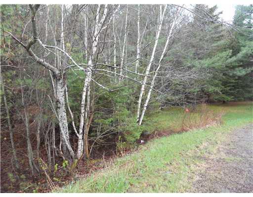 1305 Main Road Corinth, ME 04427 - Photo 14 of 19 Land/Lot.