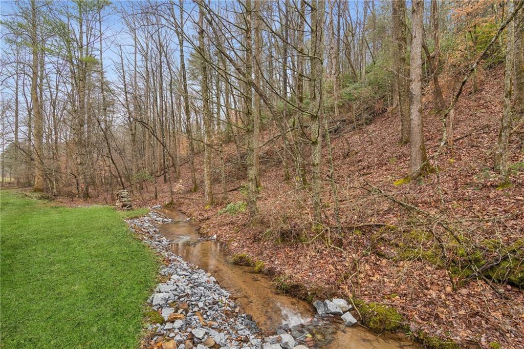 519 Barnes Drive Ellijay, GA 30540 - Photo 15 of 15 a view of backyard with green space