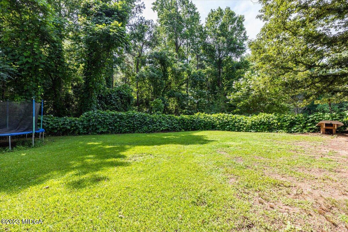 543 Abernathy Road Juliette, GA 31046 - Photo 24 of 25 23