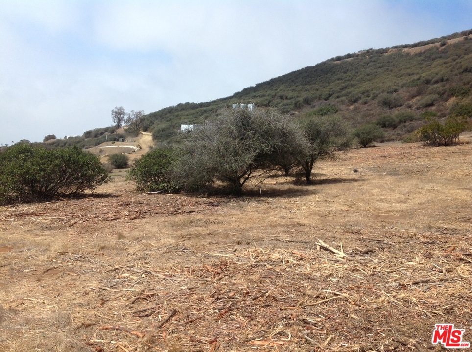 777 Cotharin Road Malibu, CA 90265 - Photo 12 of 18 Gallery Image 12