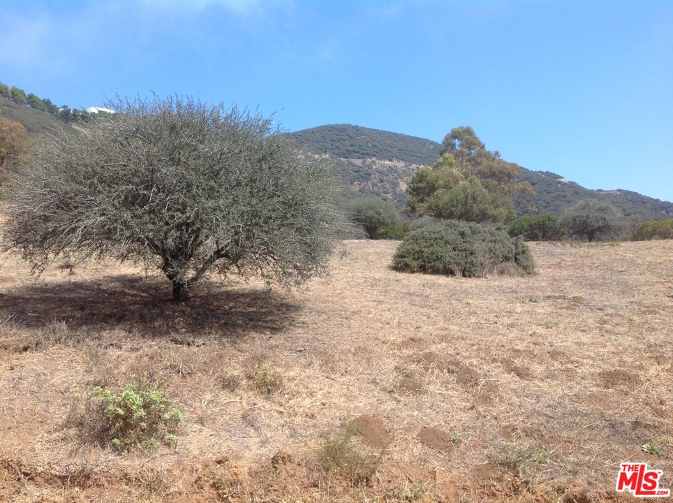 777 Cotharin Road Malibu, CA 90265 - Photo 13 of 18 Gallery Image 13