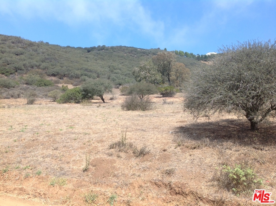 777 Cotharin Road Malibu, CA 90265 - Photo 14 of 18 Gallery Image 14