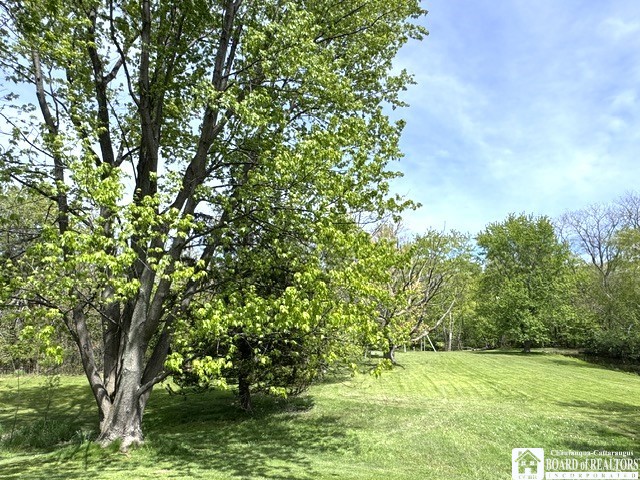 9668 Adams Road Pomfret, NY 14063 - Photo 41 of 50