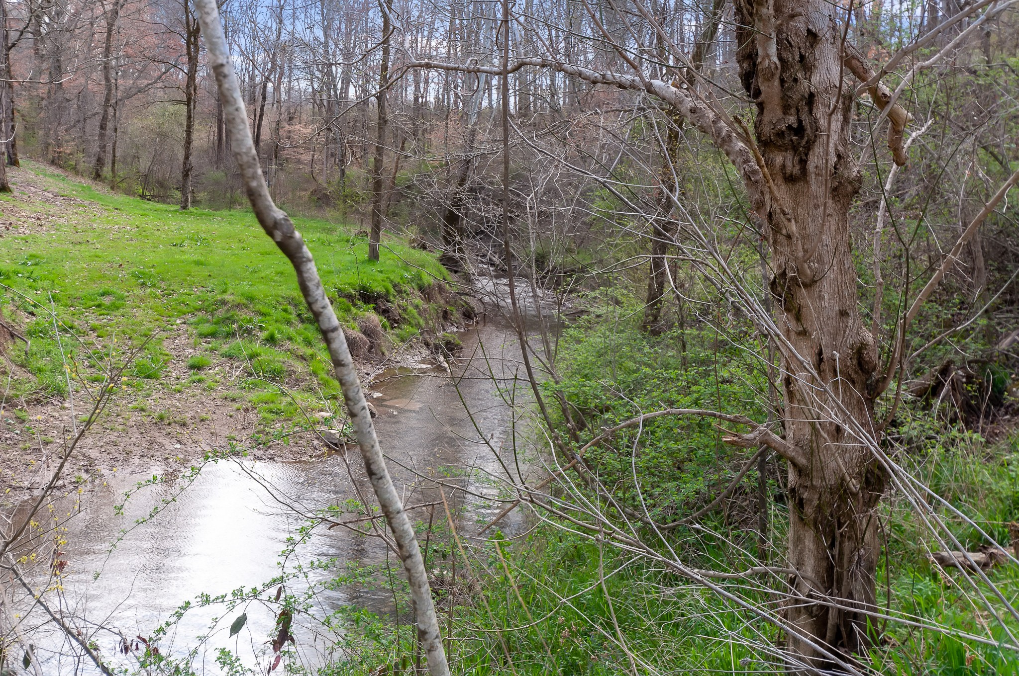 1365 Topsy Store Road Waynesboro, TN 38485 - Photo 42 of 50 Gallery Image 42