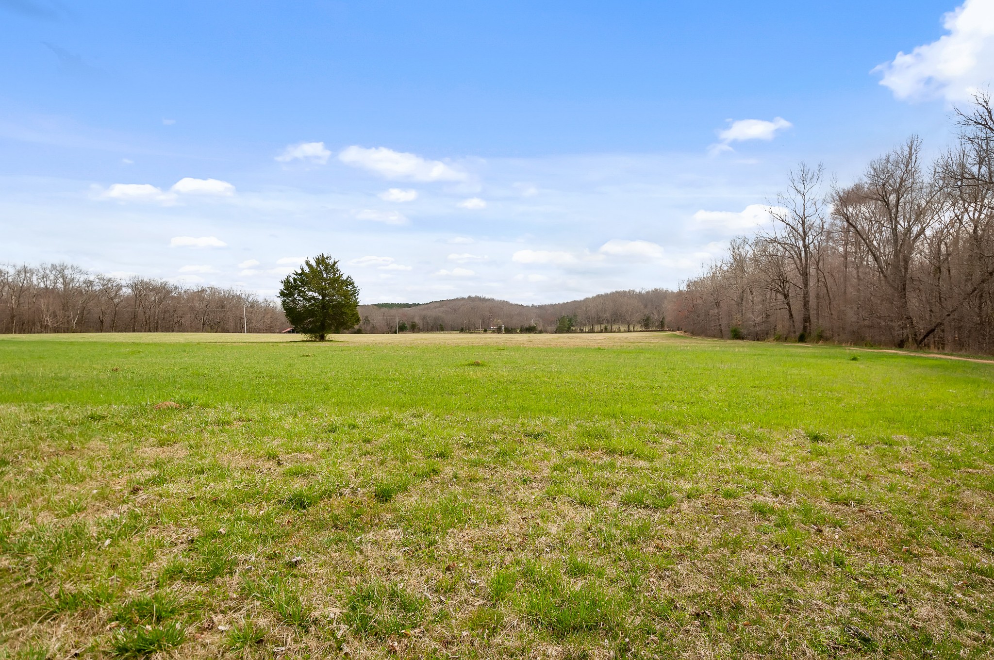 1365 Topsy Store Road Waynesboro, TN 38485 - Photo 48 of 50 Gallery Image 48