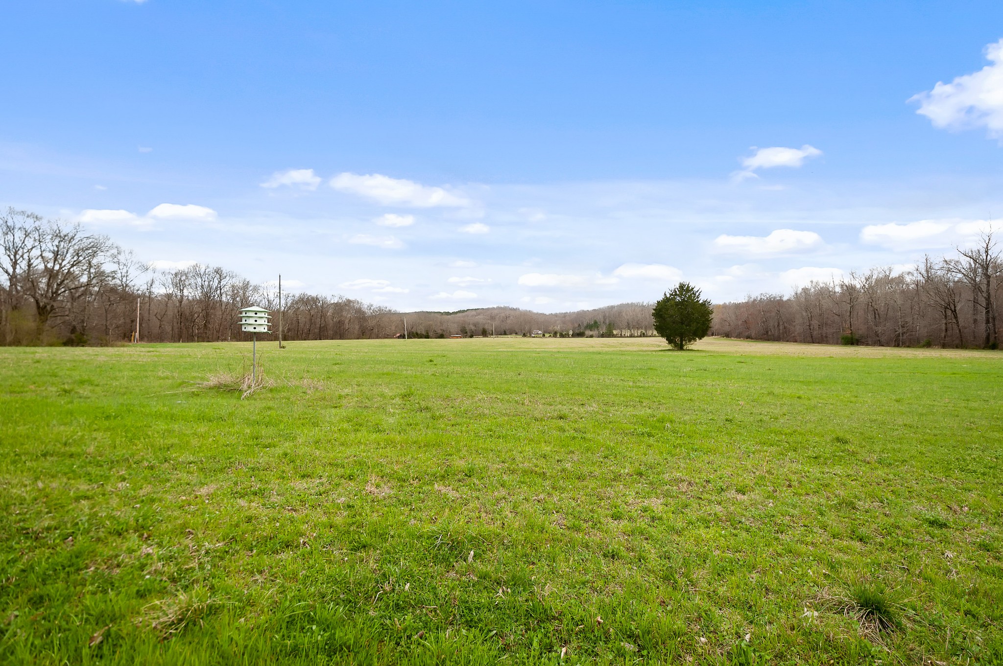 1365 Topsy Store Road Waynesboro, TN 38485 - Photo 49 of 50 Gallery Image 49