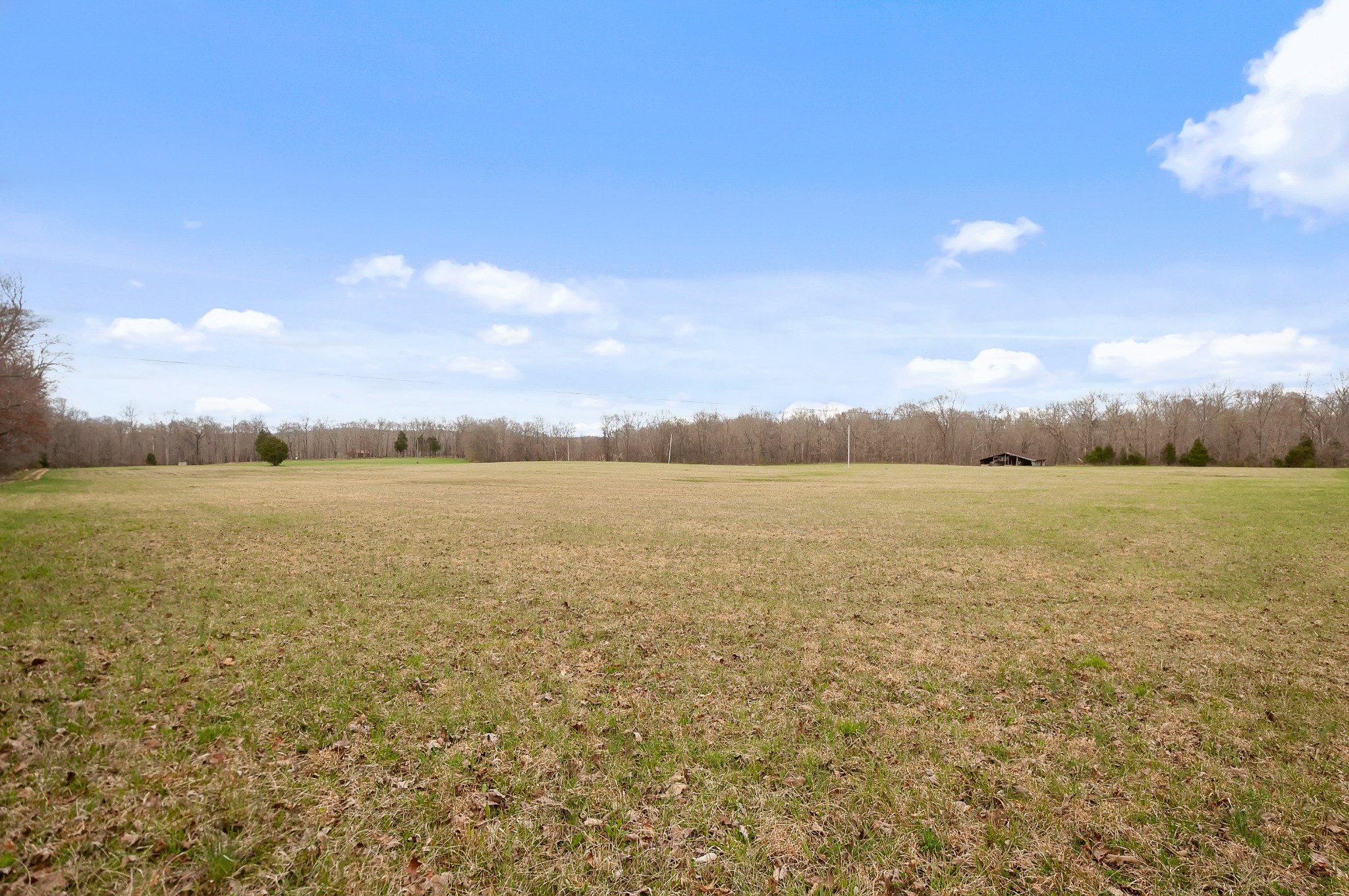1365 Topsy Store Road Waynesboro, TN 38485 - Photo 50 of 50 Gallery Image 50