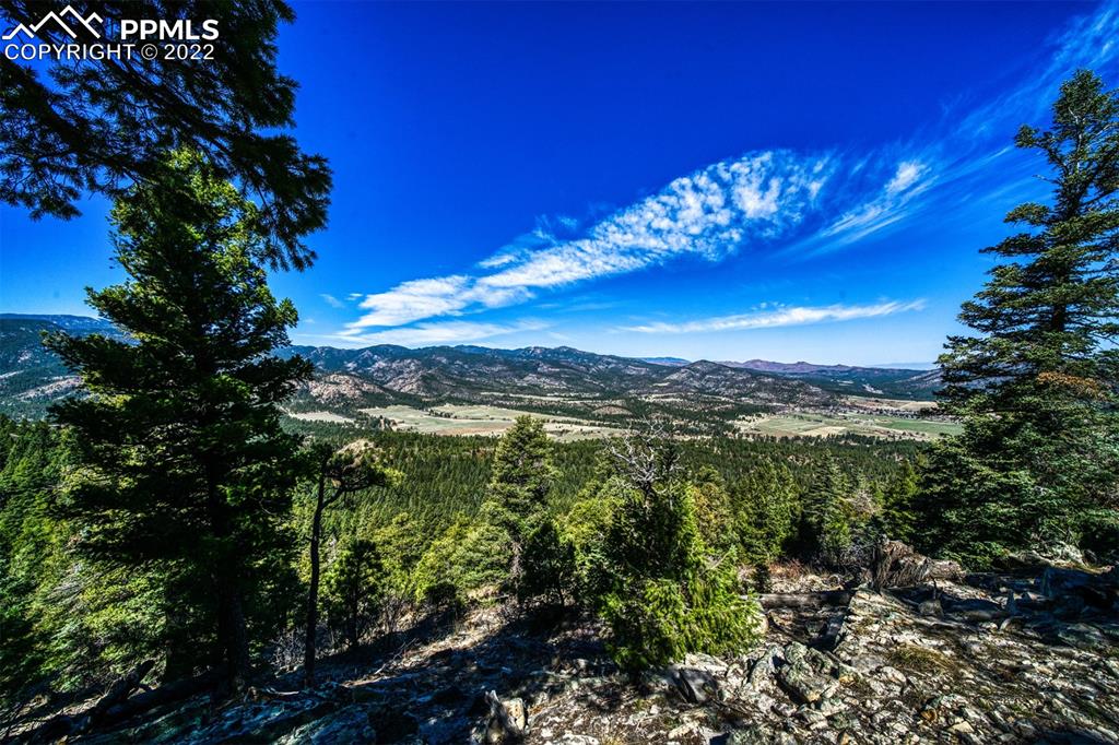 8774 Ridge Road Beulah, CO 81023 - Photo 38 of 46 a view of a lake with a mountain