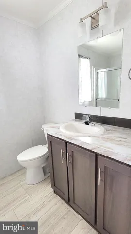 a bathroom with a sink a toilet and mirror