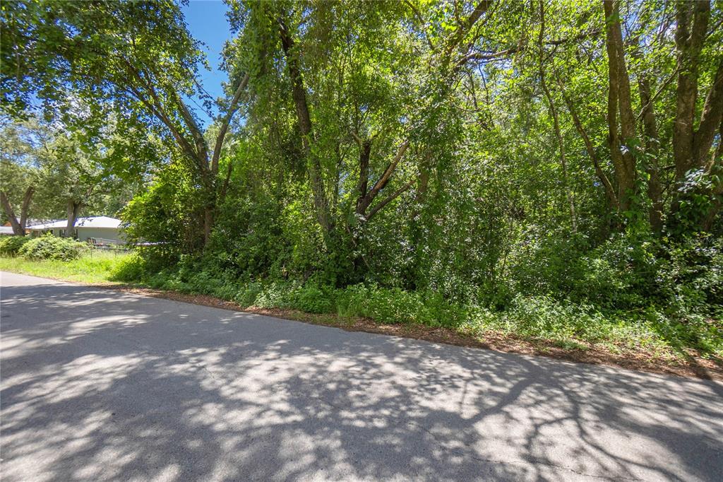 474 North Morris Avenue Inverness, FL 34453 - Photo 1 of 1 a view of a yard with a tree