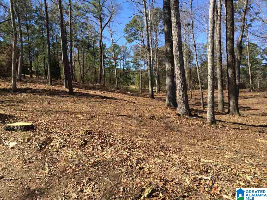 102 Hickory Way, Unit 56 ACRES Dadeville, AL 36853 - Photo 7 of 14