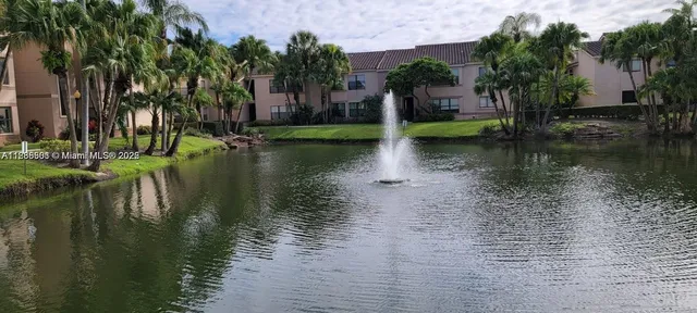 a body of water with a tree in front of it