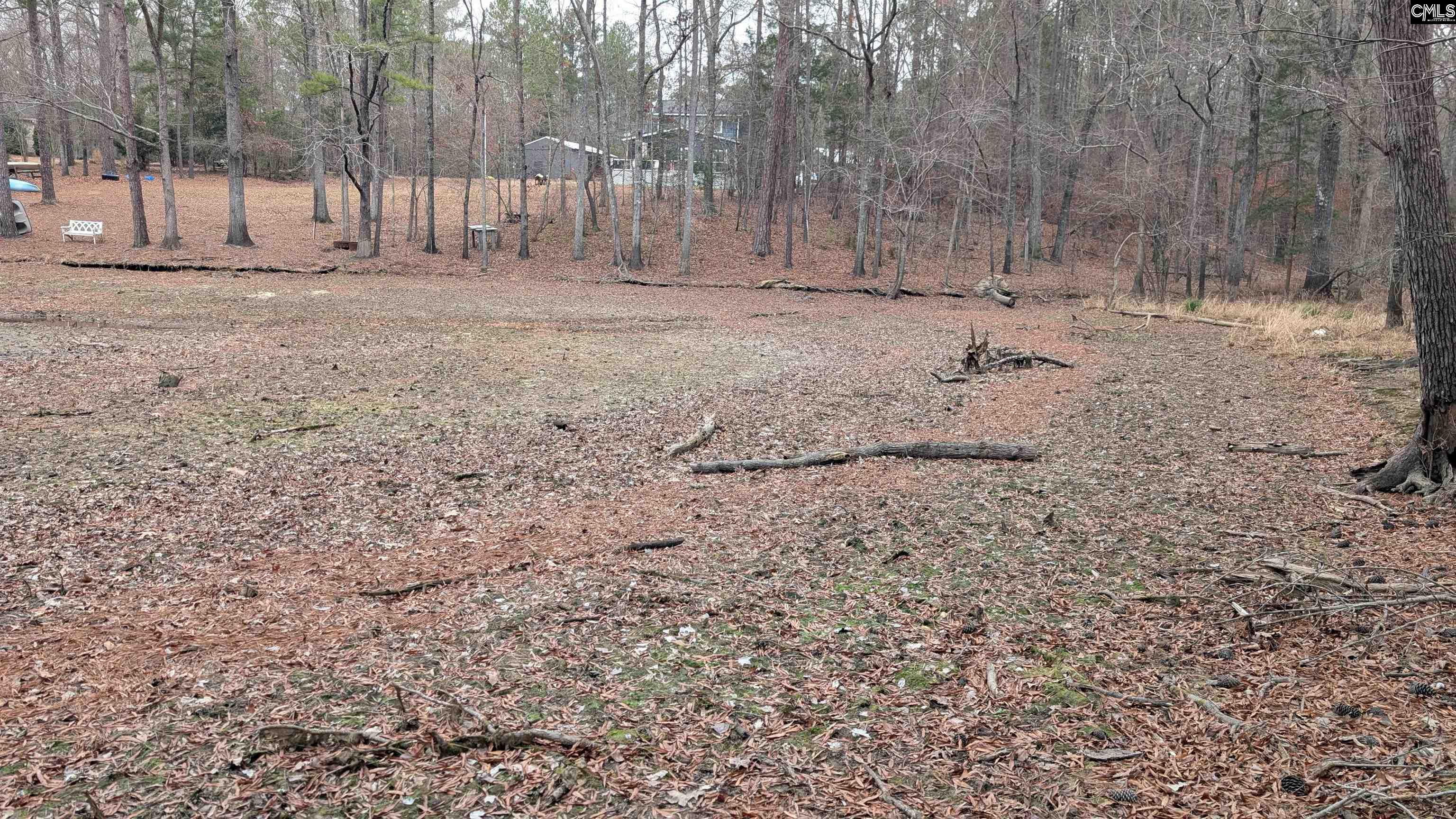 Lots B & C Lots B & C Miller Road Camden, SC 29020 - Photo 29 of 36