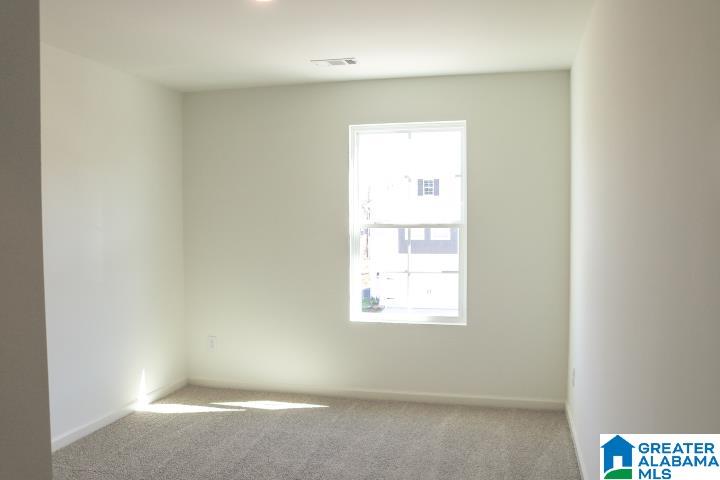 254 Chelsea Park Road Chelsea, AL 35043 - Photo 14 of 33