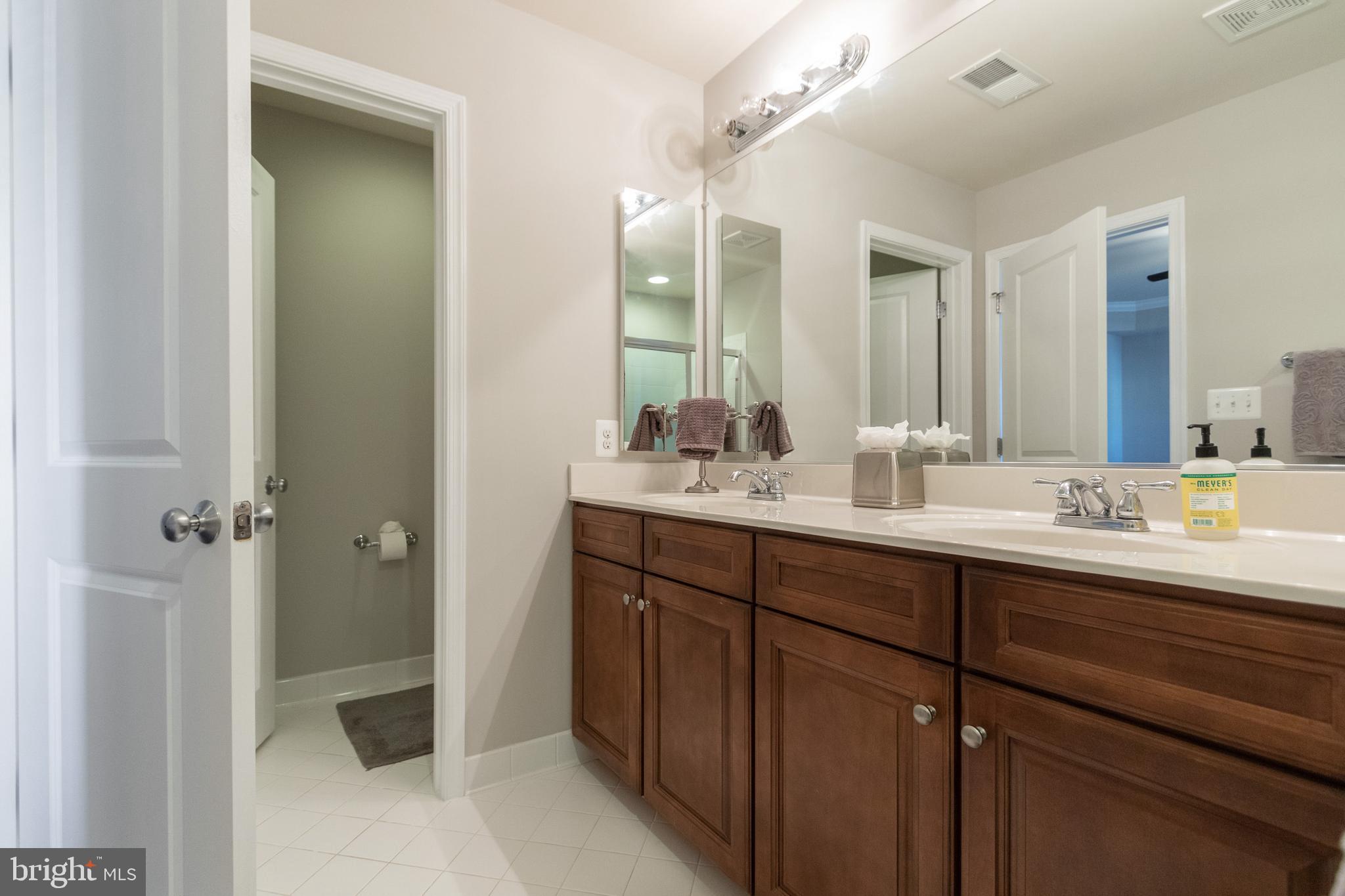 42190 Castle Ridge Square Brambleton, VA 20148 - Photo 22 of 44 Master bath w/dual sinks