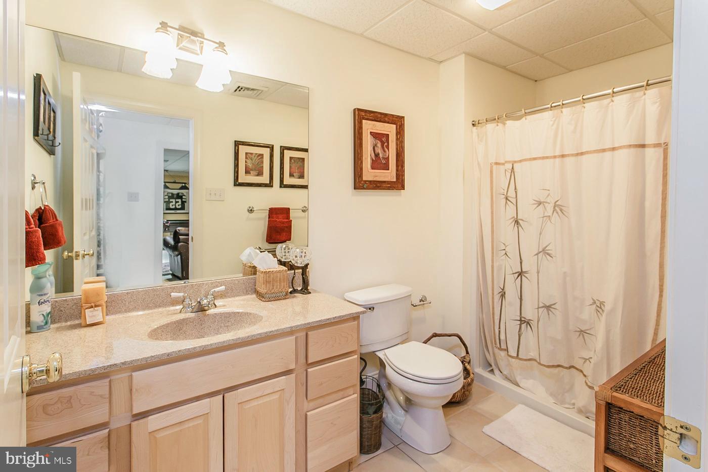1246 Hollow Road Chester Springs, PA 19425 - Photo 28 of 34 Lower Level Full Bath