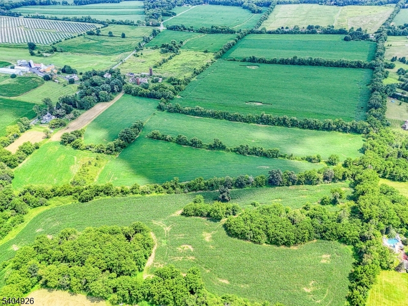 8 Roseberry Road Washington, NJ 07882 - Photo 12 of 24 a view of a garden with a lake