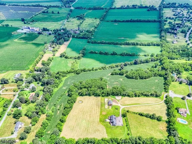 a view of a garden with a pathway