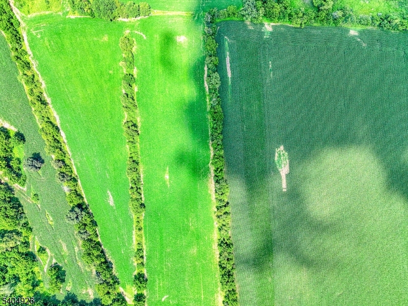 8 Roseberry Road Washington, NJ 07882 - Photo 16 of 24 a view of a garden