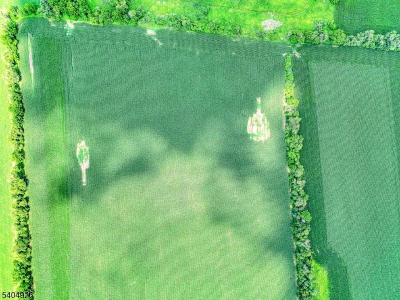 8 Roseberry Road Washington, NJ 07882 - Photo 17 of 24 a view of a green yard with large trees