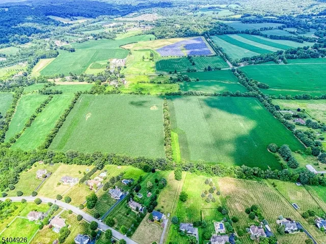 a view of a garden with a flower