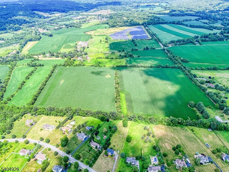 8 Roseberry Road Washington, NJ 07882 - Photo 20 of 24 a view of a garden with a flower