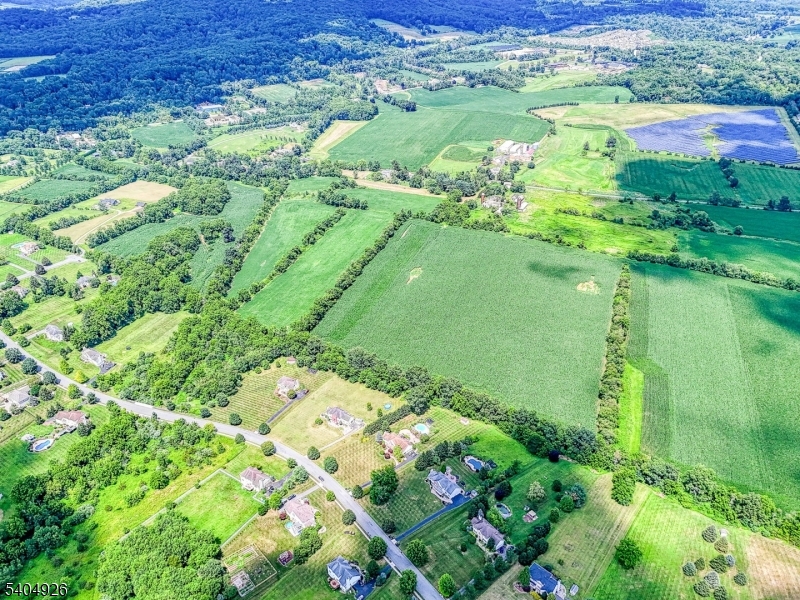 8 Roseberry Road Washington, NJ 07882 - Photo 21 of 24 a view of a garden with a lake