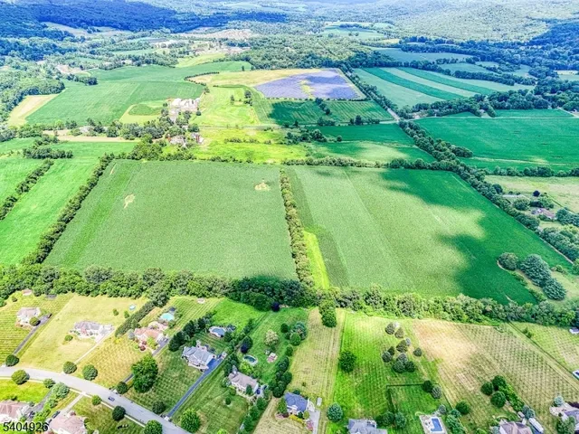 a view of a garden with an ocean
