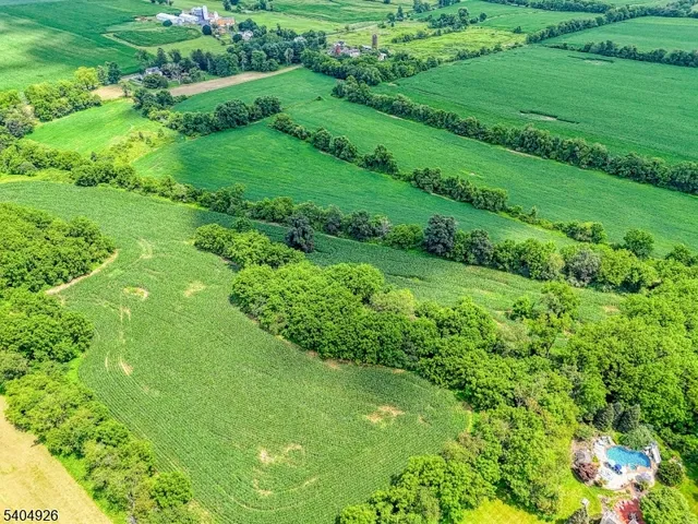 a view of a garden with a plant